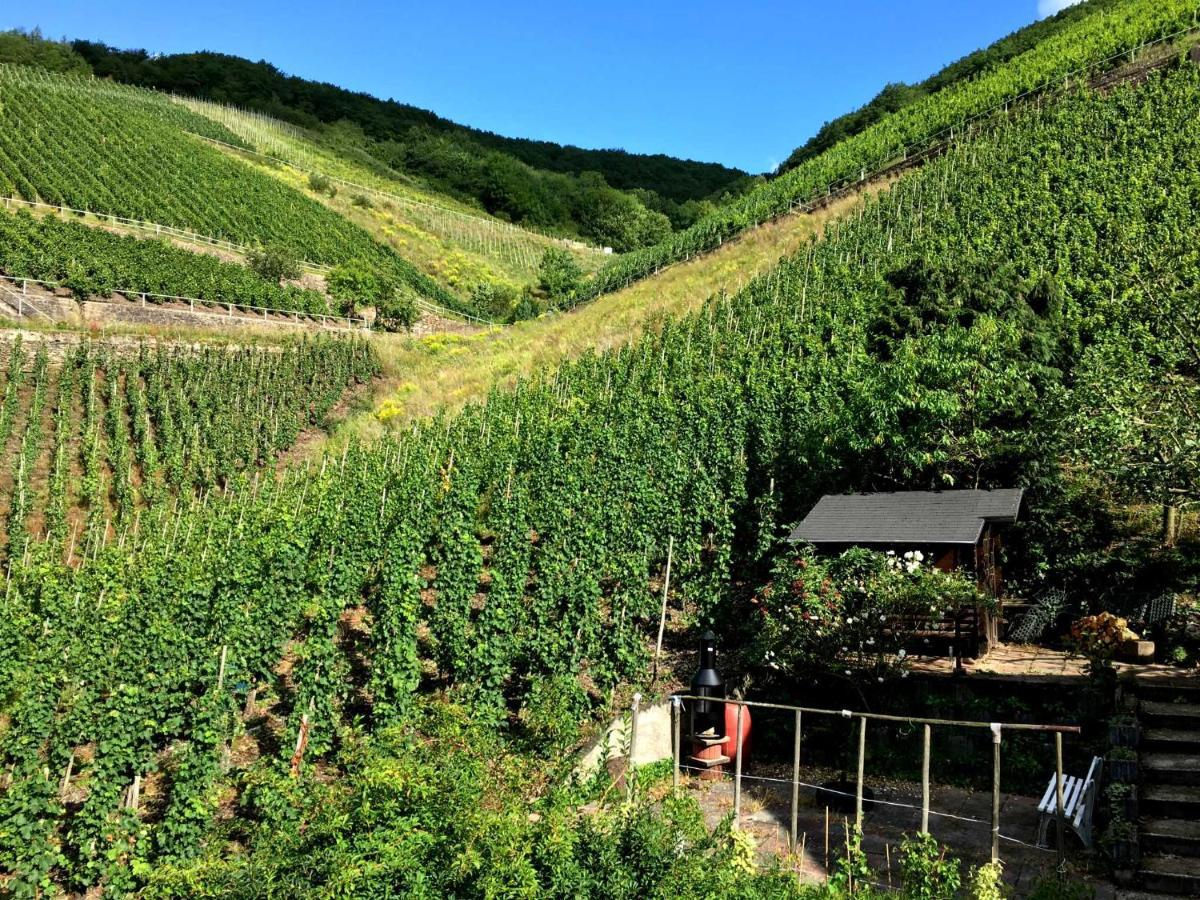 Ferienwohnungen Merl Zell an der Mosel Eksteriør bilde